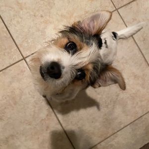 Meet your Posher, Cc